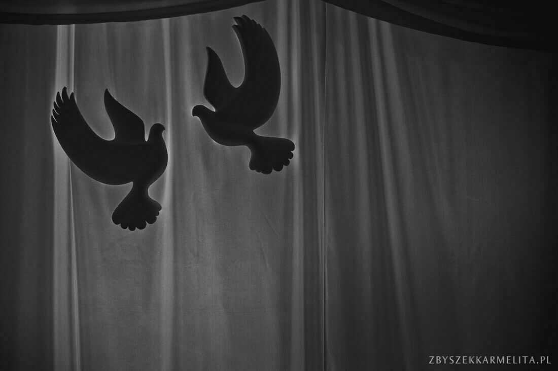 plener goluchow wesele eden turek fotograf konin 0070 - 121